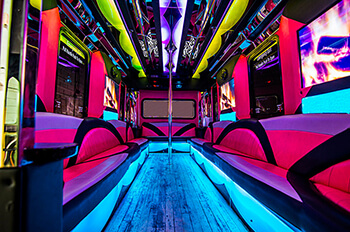 24 passenger party bus interior